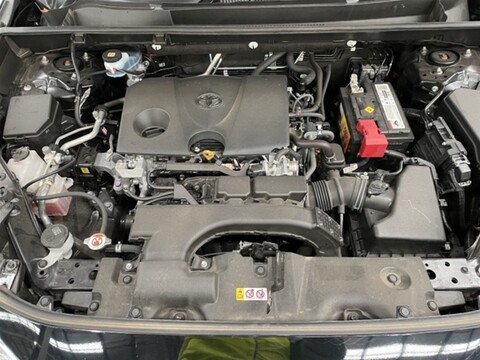Gallery image 11